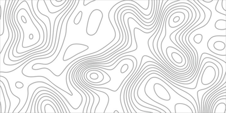 Abstract topographic map contour line background in gray white monochrome colors with curved topography vector pattern for modern geographic tech design