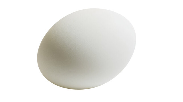 Single white chicken egg with textured shell, isolated on transparent background