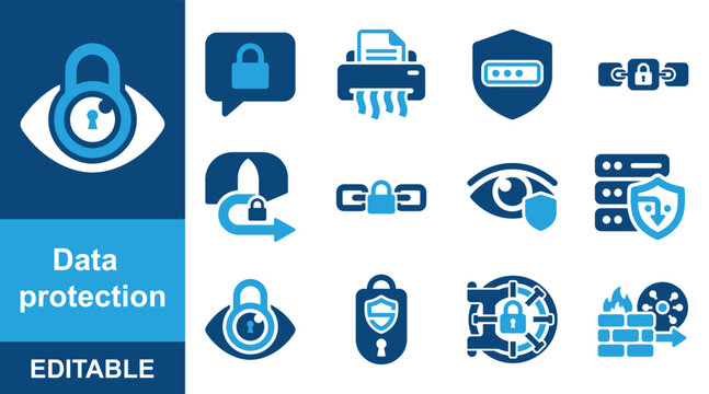 Data Protection and Cyber Security Privacy Two Color Vector Icon Set