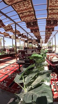 Green plants in a sunlit traditional Arabic outdoor seating area with red carpets.
