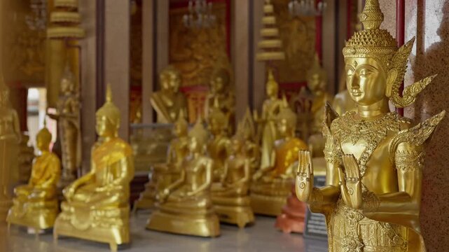 Numerous golden Buddha statues inside a serene temple hall. High-detail 4K B-roll shot showing Thai Buddhist culture, religion, and spiritual art.