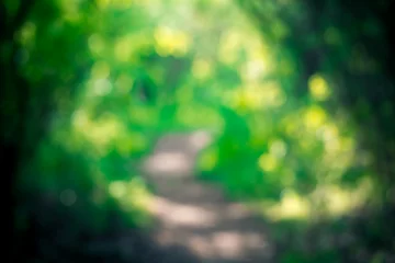 Fotobehang Badkamer Natural green bokeh background with blurred forest texture  © 2xwilfinger