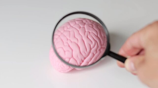 Pink brain examined through a magnifying glass, symbolizing neuroscience, cognitive research, medical analysis, psychology and the study of human intelligence.