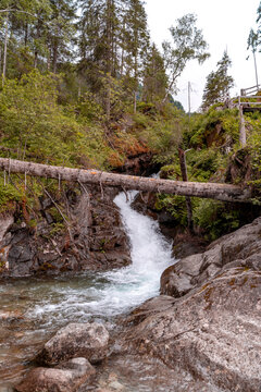 Waterfall stream flowing through rocky forest with a fallen log bridging the banks