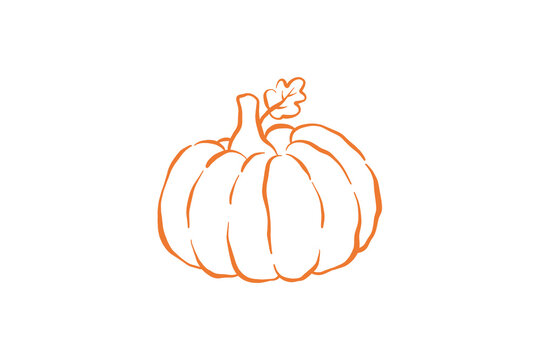 Hand drawn traditional autumn harvest pumpkin outline illustration for thanksgiving Design