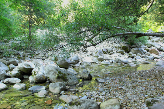 Rocky creek bed and green forest in Brent de l'Art nature path, Veneto, Italy