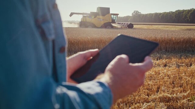 Farmer hands hold tablet while combine tractor cuts cereals