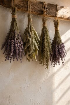 Bundles of dried herbs hanging from a wooden beam