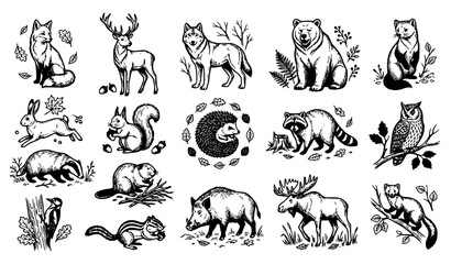 Woodland Forest Animal Collection with Fox Deer Wolf Bear Owl and Squirrel Hand Drawn Vector Illustration Set © Abdullahall