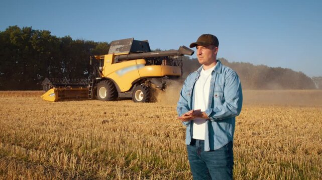 Confident farmer rubs hands as combine tractor cuts ripe wheat