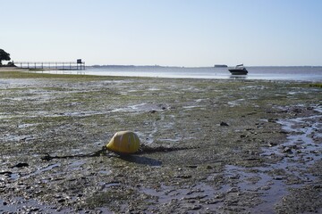 A yellow mooring buoy sits resting on wet mudflats exposed at low tide, with seaweed covering the foreground while a boat anchors further out near a wooden pier structure under a clear, bright sky.   © m8