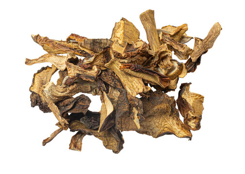 Dried porcini mushrooms ingredient for gourmet cooking