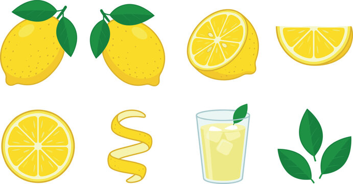 Isolated lemon vector illustration set featuring whole fresh fruits green leaves half wedge round slice spiral peel twist and glass of lemonade with ice