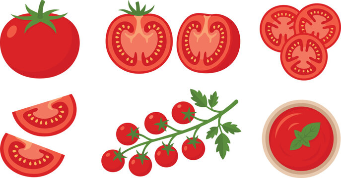 Isolated red tomato vector illustration set featuring whole fresh fruit half cross sections round slices wedges cherry vine branch and paste bowl with basil
