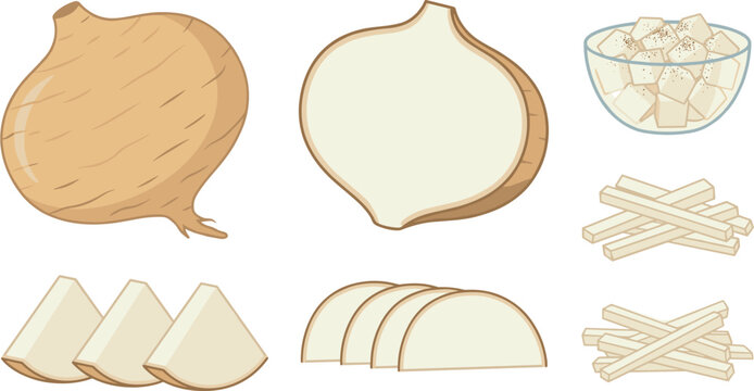 Isolated jicama vector illustration element set featuring whole root raw slices cut pieces sticks and seasoned snack bowl on white background