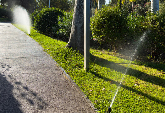 garden sprinkler on the green lawn 