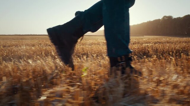 Farmer walks across cropped field at harvesting season closeup