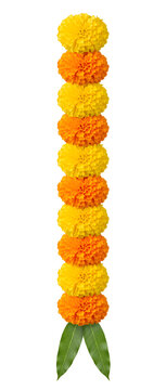 fresh ten marigold flowers in straight vertical garland with pair of green mango leaves isolated on pure white background