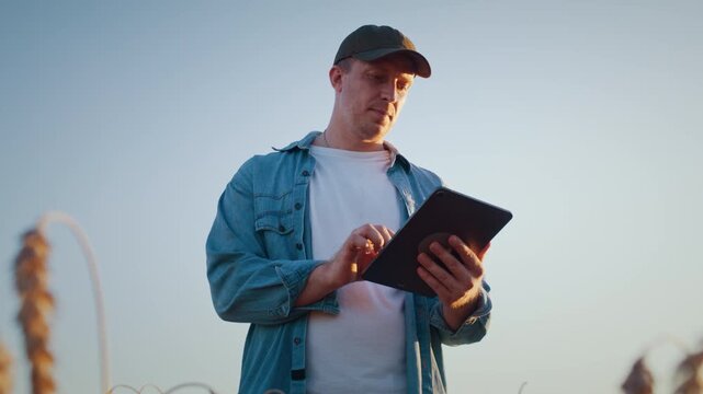 Farm worker analyzes tablet data among ripe wheat field crops