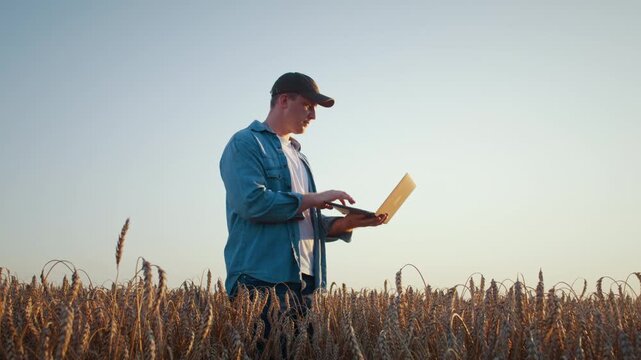 Agronomist uses laptop while monitoring crops in wheat field