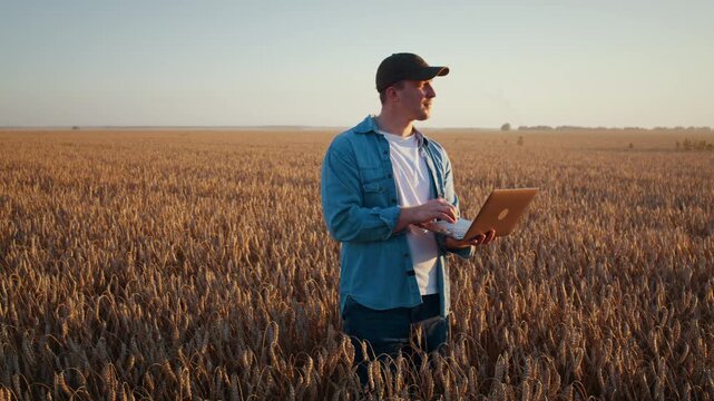 Farmer reviews laptop data while standing in vast wheat field