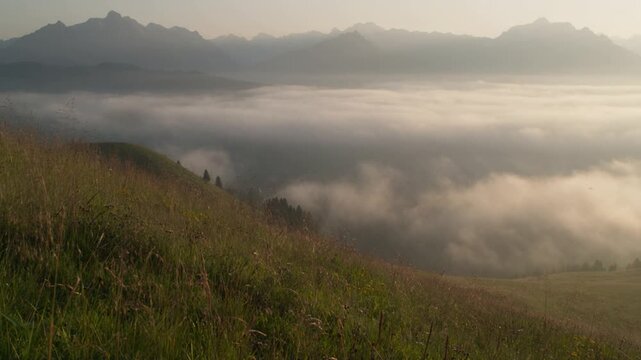 Mountain valley fog inversion at sunrise from grassy alpine slope