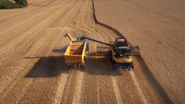 Combine unloads grain into trailer during active field harvesting