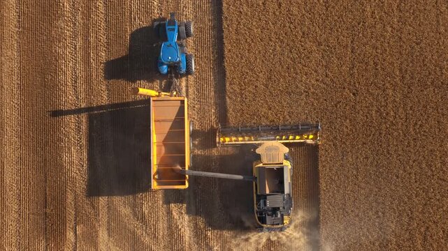 Combine harvester and tractor with trailer at grain harvesting