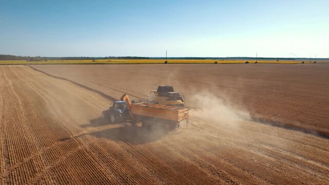 Harvest machines move through dusty field during grain collection