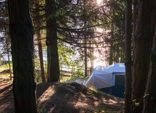 A tent is hidden between pine trees. Lake is in the background. Huge pine trees. Morning in a camp. Horizontal photo. 