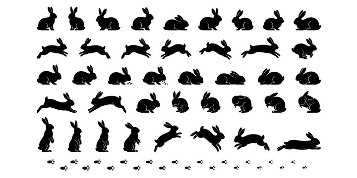 Black and White Silhouette Rabbits Various Dynamic Poses Collection Artwork Design transparent background