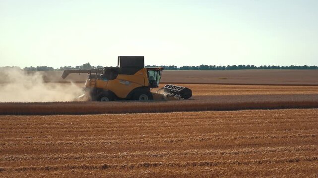 Harvest combine moves across field leaving heavy dust trail