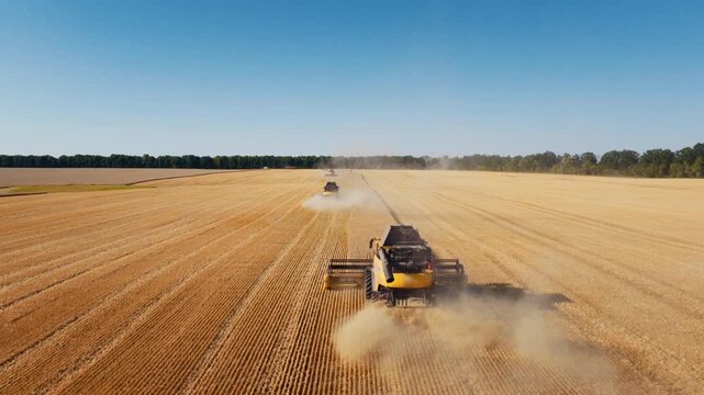 Combine harvests grain across wide field under clear summer sky