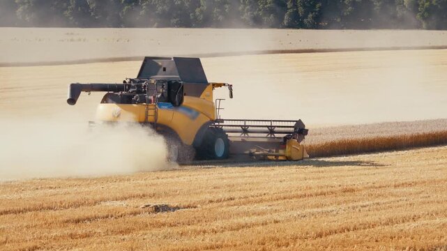 Combine harvester cuts ripe crop while raising dust in field