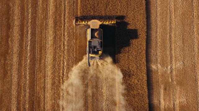 Combine harvesting grain across patterned field aerial view