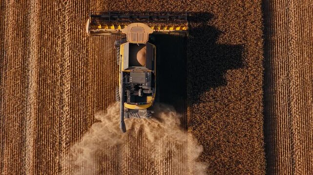 Combine harvester cutting crops through golden field upper view