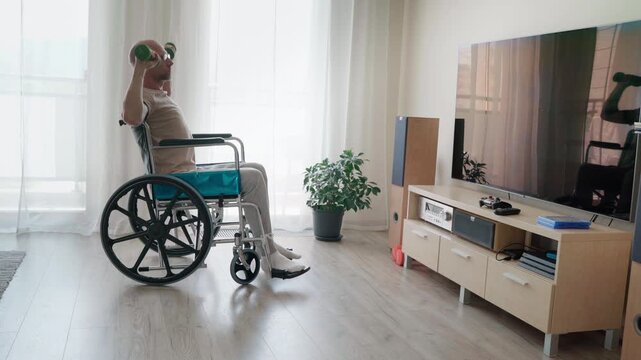 4K motivated bald man in a wheelchair lifting small green dumbbells at home. Physical therapy, rehabilitation training, upper body workout for a disabled person, and healthy lifestyle