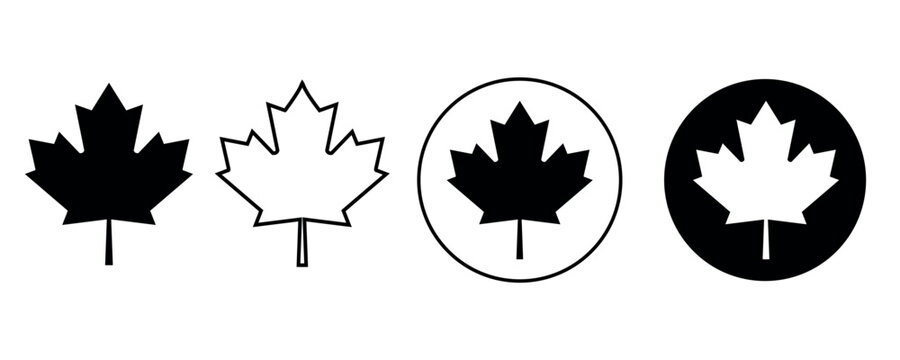 Maple leaf icon. Canada flag sign.
