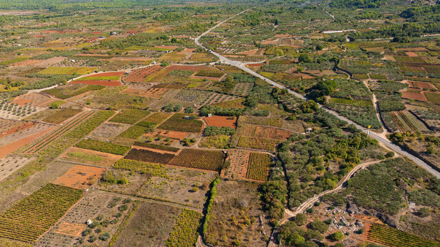 Ancient agricultural landscape of Starogradsko Polje preserves traditional stone walls, olive groves and vineyards. UNESCO heritage site reflects centuries of Mediterranean farming on Hvar Island.