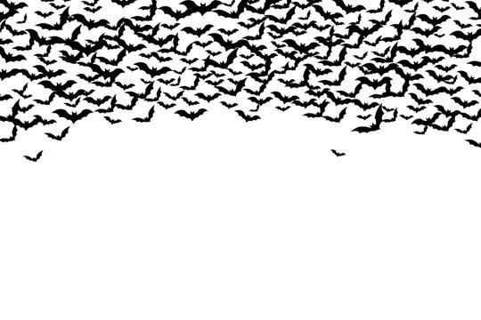 Group of flying black bats for Halloween decoration template background.