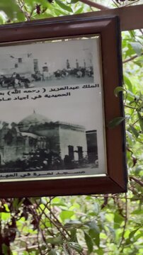 Vintage framed photos of Saudi Arabia displayed outdoors among green leaves.