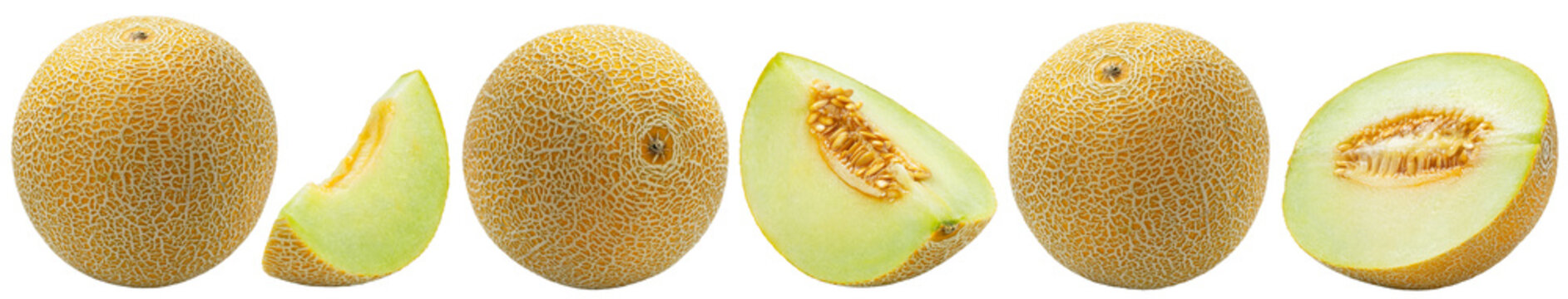Juicy musk melons set. Fresh half of melon and melon cut in slice with whole cantaloupe melon isolated.