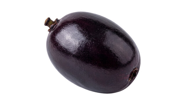 Single fresh organic jamun berry also known as java plum jambolan or black plum sweet tropical fruit rich in antioxidants and essential vitamins