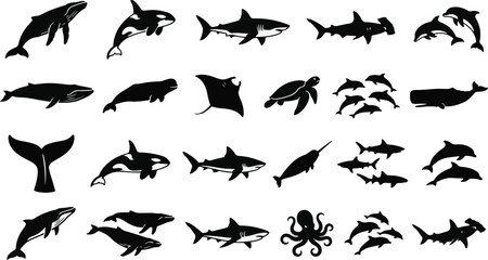 Set of black silhouette marine animals including whales sharks and dolphins with silhouette collection illustration monochrome wildlife underwater predator © MDMOYNULISLAM