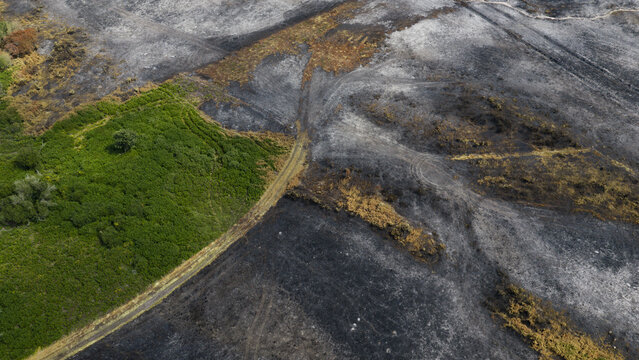 Aerial view of fire-damaged landscape showing a stark contrast between scorched black earth and a patch of surviving green vegetation along a coastal path in Plevenon, Brittany, France.