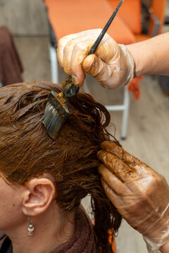Stylist's gloved hands applying hair color to a woman's hair with a brush, changing hair color in a salon