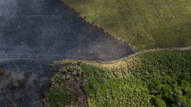 Aerial view of fire damage showing a stark contrast between charred black earth and lush green vegetation along the coastal landscape in Plevenon, Brittany, France.