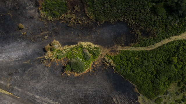 Aerial view of fire-damaged landscape with charred black earth contrasting against patches of green vegetation in France.