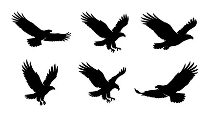 Fototapeta premium Eagle Silhouette Set, Majestic Bird Vector Icons, Predatory Raptor Flying Poses, Wildlife Graphic Elements, Black and White Avian Collection