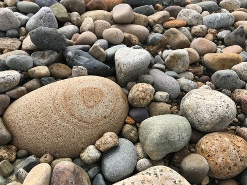 Smooth pebble texture background, close-up top view